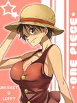  1girl breasts genderswap hat huge_breasts luffyko monkey_d_luffy one_piece straw_hat 