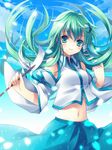  detached_sleeves frog green_eyes green_hair hair_ornament highres kochiya_sanae long_hair midriff rie_(reverie) snake solo touhou 