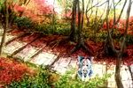  autumn blue_eyes blue_hair bow cirno cosplay forest from_above hair_bow hakurei_reimu hakurei_reimu_(cosplay) looking_up nature same_2009 short_hair solo touhou 