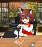  1girl :d animal_ear_fluff animal_ear_piercing blurry blurry_background bow bowtie breasts brown_eyes brown_hair cat chen choko_(cup) commentary_request cup earrings fang food fruit gold_trim hair_between_eyes highres indoors jewelry long_sleeves mandarin_orange nekomata no_headwear qi_lang3568 red_vest short_hair single_earring small_breasts smile solo table touhou vest white_bow white_bowtie 