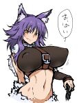  1girl animal_ear_fluff animal_ears arms_behind_back breasts closed_mouth covered_nipples criss-cross_halter fang fur-trimmed_shorts fur_trim halterneck henriiku_(ahemaru) large_breasts long_hair looking_at_viewer makoto_(princess_connect!) midriff navel princess_connect! purple_hair shorts smile solo standing stomach wolf_ears wolf_girl yellow_eyes 