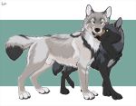  animal_genitalia canid canine canis cuddling duo fully_sheathed hybernation male mammal sheath wolf 