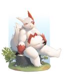 2024 absurd_res anthro belly big_belly blush elvendays fur generation_3_pokemon hi_res kemono male moobs navel nintendo overweight overweight_male pokemon pokemon_(species) red_body red_fur sitting solo white_body white_fur zangoose