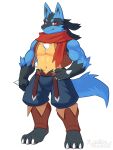 anthro biceps black_body black_fur blue_body blue_fur bottomwear clothed clothing fur generation_4_pokemon hair kulplant looking_at_viewer lucario male multicolored_body multicolored_fur muscular muscular_anthro muscular_male navel nintendo partially_clothed pecs pokemon pokemon_(species) red_eyes scarf shorts smile solo standing yellow_body yellow_fur