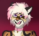 anthro cheetah chisoku dirty eating_feces feces feces_in_mouth feces_on_face feces_on_glasses felid feline filth girly ltwind34 male mammal messy scat smelly solo