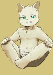 2022 5_fingers 5_toes anthro canid canine canis domestic_dog eyebrows fangs feet fingers fur green_eyes grin half-closed_eyes hands_on_knees hands_on_legs hi_res male mammal narrowed_eyes navel simple_background sitting smile solo teeth tobyou_222 toes towel_around_waist white_body white_fur yellow_background