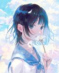  1girl black_hair blue_eyes blue_neckerchief blue_sailor_collar blue_sky blush cloud cloudy_sky commentary_request crying crying_with_eyes_open daisy dated day falling_petals flower hand_up highres holding holding_flower looking_at_viewer multicolored_background nakamura_hinata neckerchief original outdoors petals sailor_collar school_uniform serafuku shirt short_hair signature sky solo tears upper_body white_flower white_shirt 