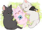  1girl 2boys animal_earrings animal_focus animalization black_cat black_fur blush_stickers caelus_(honkai:_star_rail) camera cat closed_eyes dan_heng_(honkai:_star_rail) earrings flower grass green_eyes grey_cat grey_fur highres holding holding_camera honkai:_star_rail honkai_(series) jacket jewelry looking_at_another lying march_7th_(honkai:_star_rail) multiple_boys nasuka_gee no_humans on_back on_side outdoors pink_cat pink_fur single_earring trailblazer_(honkai:_star_rail) 