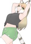  1girl :3 absurdres animal_ear_fluff animal_ears animal_print armpits arms_behind_back arms_up bare_arms bare_shoulders black_shirt blunt_bangs blush cat_ears cat_girl cat_print cat_tail commentary cowboy_shot crop_top dolphin_shorts dot_nose green_eyes green_shorts grey_hair highres illu_(illu_stratos) jungle_cat_(kemono_friends) kemono_friends light_brown_hair long_hair midriff multicolored_hair navel paw_print see-through see-through_shirt shirt short_shorts shorts sidelocks simple_background skindentation sleeveless solo symbol-only_commentary tail tank_top tareme thighhighs white_background white_hair white_thighhighs 