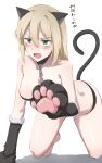  1girl absurdres animal_ears animal_hands black_panties black_tail blush breasts cat_tail chain chain_leash emu_1316 fang full_body gloves green_eyes heinrike_prinzessin_zu_sayn-wittgenstein highres leash looking_at_viewer medium_breasts medium_hair noble_witches open_mouth panties paw_gloves simple_background skin_fang solo tail underwear white_background world_witches_series 