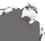  1boy animal_ears bara blush chest_hair foreshortening from_below furry furry_male grey_fur headband highres horkeu_kamui large_pectorals looking_at_viewer looking_down male_focus meme muscular muscular_male nikukyu299paw nipple_slip nipples pectoral_cleavage pectoral_focus pectorals photo-referenced short_hair shy sidepec solo sweatdrop tank_top thick_eyebrows tokyo_afterschool_summoners two-tone_fur upper_body white_fur wolf_boy wolf_ears yellow_eyes yur_oc_like_this_(meme) 