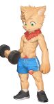 absurd_res anthro biped erection fan_character fluffy genitals hi_res humanoid_genitalia humanoid_penis kimdog league_of_legends male mammal neck_tuft nude penile penis riot_games size_difference smaller_male solo teemo_the_yiffer tuft yordle