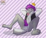  absurd_res anthro balls blep clothed clothing digital_media_(artwork) erection fur genitals hair hi_res khryaus_o&#039;howl_(artist) king_(crmlcd) looking_at_viewer male nintendo paws penis simple_background smile smug solo tail tongue tongue_out topwear 