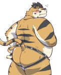  2024 anthro belly blush butt clothing cute_fangs eyewear felid glasses hi_res hon55728 jockstrap kemono male mammal overweight overweight_male pantherine simple_background solo tiger underwear white_background 