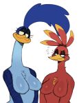  2024 anthro avian banjo-kazooie beak bear big_breasts bird blue_body blue_feathers blush bodily_fluids breasts breegull chest_tuft colored_sketch cuculiform duo eyelashes feathers featureless_breasts female front_view frown greater_roadrunner green_eyes head_feathers hi_res kazooie long_eyelashes looking_at_another looking_down_at_another looney_tunes mammal narrowed_eyes new_world_ground_cuckoo rareware red_body red_feathers road_runner_(looney_tunes) roadrunner simple_background sketch smile sssonic2 standing sweat sweatdrop tuft warner_brothers white_background 
