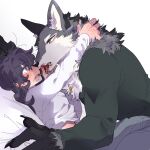  1boy 1girl animal_ears arm_around_neck bed_sheet black_hair blood blood_from_mouth blush body_fur claws closed_mouth commentary_request dog_tags finger_in_another&#039;s_mouth furry furry_male furry_with_non-furry green_eyes green_shirt grey_eyes grey_fur grey_pants hetero highres interspecies long_hair long_sleeves looking_at_another lying on_back open_mouth original pants pinned rata_(norahasu) shirt simple_background tongue tongue_out upper_body white_background white_fur white_shirt wolf_boy wolf_ears 
