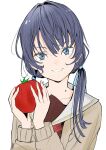  1girl absurdres blue_eyes blue_hair brown_cardigan brown_dress cardigan commentary_request dress food hasu_no_sora_school_uniform highres holding holding_food holding_vegetable link!_like!_love_live! long_hair long_sleeves looking_at_viewer love_live! mole mole_on_neck murano_sayaka neckerchief red_neckerchief sailor_collar school_uniform sidelocks smile solo tomato tommer twintails upper_body vegetable virtual_youtuber white_background white_sailor_collar winter_uniform 