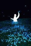  1girl arms_at_sides blue_flower crescent_moon dress facing_ahead falling_petals field flower flower_field from_behind grass highres landscape moon nature night original outdoors petals scenery short_hair signature silhouette skyrick9413 solo wide_shot 
