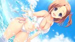  bikini cleavage game_cg hook melty_moment sakurai_yua swimsuits takayaki wet 