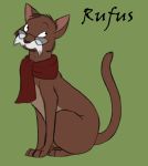  bottomless brown_fur cat clothed clothing digital_drawing_(artwork) digital_media_(artwork) disney eyewear facial_hair feline feral fur glasses green_background kumkrum male mammal mustache rufus_(the_rescuers) scarf simple_background sitting solo the_rescuers 