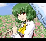  ascot field flower flower_field green_hair kazami_yuuka letterboxed parasol plaid plaid_vest red_eyes short_hair smile solo supon touhou umbrella upper_body vest 