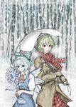  adapted_costume bare_tree cirno coat dress flower forest ice ice_wings ichimi_tougarashi kazami_yuuka light_smile mittens multiple_girls nature parasol pinafore_dress plaid plaid_scarf plaid_skirt scarf skirt snow sunflower touhou tree umbrella wings winter 