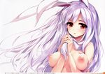  :o absurdres animal_ears bangs blush breasts breasts_apart bunny_ears collarbone eyebrows_visible_through_hair fingernails fingers_together hands_together hands_up highres ke-ta large_breasts lavender_hair long_fingernails long_hair looking_at_viewer nipples nude open_mouth page_number purple_hair red_eyes reisen_udongein_inaba scan simple_background solo tareme touhou translation_request upper_body white_background 