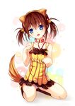  animal_ears inumimi kaede_(artist) pantsu tagme tail 