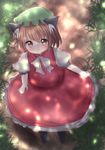  animal_ears blurry blurry_background brown_eyes brown_hair cat_ears chen dress from_above grass hat highres looking_at_viewer mob_cap niwaniwatori red_dress ribbon short_hair short_sleeves solo touhou 
