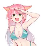  animal_ears bikini breasts cleavage green_eyes itsumi_mita long_hair medium_breasts open_mouth original solo swimsuit 