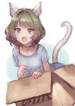  :d animal_ears bell bell_choker blue_eyes box brown_hair cardboard_box cat_ears cat_tail choker fang green_eyes heterochromia idolmaster idolmaster_cinderella_girls in_box in_container jingle_bell meto31 mole mole_under_eye open_mouth paw_pose short_hair smile solo tail takagaki_kaede 