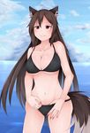  absurdres animal_ears bikini black_bikini breasts brown_hair cleavage collarbone fingernails highres imaizumi_kagerou large_breasts long_hair looking_up nail_polish navel ocean red_eyes red_nails shou_(ahiru_shinobu) solo swimsuit tail touhou wolf_ears wolf_tail 