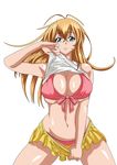  bikini breasts ikkitousen large_breasts sonsaku_hakufu swimsuit 