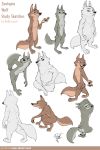  2019 al_(weaver) amber_eyes anthro blue_eyes breasts butt canid canine canis casual_nudity cheek_tuft claws countershade_tail countershade_torso countershading crouching disney english_text fan_character featureless_breasts featureless_crotch female group half-closed_eyes kneeling looking_at_viewer male mammal model_sheet multiple_poses neck_tuft nude open_mouth open_smile pack_street pawpads pose robcivecat signature simple_background sitting small_breasts smile standing text toe_claws tuft url white_background wolf zootopia 