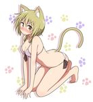  all_fours animal_ears bikini blonde_hair breasts cat_ears cat_tail cleavage highres ichii_yui long_hair low_twintails medium_breasts mel_(melty_pot) solo swimsuit tail twintails white_bikini yellow_eyes yuyushiki 
