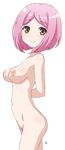  1girl arms_behind_back blush breasts brown_eyes female from_side girlfriend_(kari) navel nipples nude pink_hair pubic_hair short_hair signature simple_background smile solo tachibana_kyouko_(girlfriend_(kari)) vzmk2 white_background 