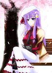  alternate_costume bench blue_eyes book cherry_blossoms contemporary crescent crescent_hair_ornament dress frills hair_ornament hat hat_ribbon hazuki_kasane highres long_hair patchouli_knowledge petals purple_hair ribbon scarf sitting solo touhou tree 