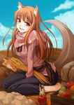  animal_ears apple barefoot brown_hair food fruit ginta holo long_hair sitting solo spice_and_wolf tail wariza wheat wolf_ears wolf_tail yellow_eyes 