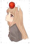  animal_ears apple apple_on_head brown_hair food food_on_head fruit fruit_on_head holo isshiki_(ffmania7) long_hair object_on_head on_head red_eyes solo spice_and_wolf wolf_ears 