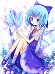  amakaze_sora blue_eyes blue_hair blush bow cirno hair_bow short_hair sitting solo touhou wings 