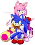  amy_rose anthro black_nose blue_hair clothing duo female footwear gloves green_eyes hair half-closed_eyes hammer headband hedgehog male mammal myly14 pink_hair scarf short_hair signature smile sonic_(series) sonic_the_hedgehog sweat tools video_games weapon 