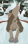  absurd_res animal_genitalia balls balto balto_(film) butt canine feral fur harness hi_res hindpaw male mammal open_mouth pawpads paws sheath toes tongue tongue_out wolftacos 