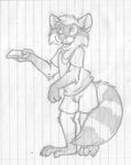 anthro barefoot clothing cute_fangs fluffy_tail greyscale lined_paper looking_away male mammal mitch_savours mizzyam monochrome multiple_images open_mouth pencil_(artwork) raccoon shirt shorts sketch smile solo standing traditional_media_(artwork) 