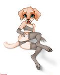  2016 anthro bra canine clothing coonkun cynthia digitigrade dog elbow_gloves female flat_chested gloves legwear lingerie looking_at_viewer mammal panties paws solo stockings underwear 