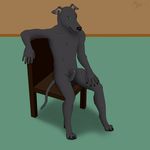  animal_genitalia balls canine chair dog greyhound hi_res male mammal mearcu nude sheath 
