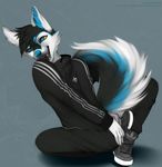  2016 achilles adidas angiewolf anthro blue_eyes blue_nose brand canine clothing dog fluffy_tail footwear fur husky inner_ear_fluff male mammal multicolored_fur open_mouth sharp_teeth shoes signature simple_background sitting solo teeth tracksuit yellow_sclera 