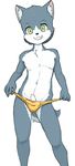  anthro canine clothing cub dog fur green_eyes grey_fur grin hi_res humanoid_penis husky male mammal penis ruugiaruu simple_background solo speedo standing swimsuit uncut white_fur young 