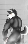  absurd_res athletic back_to_viewer black_fur blush brick_wall butt canine frown fur furry_tail hi_res invalid_tag looking_at_viewer male_butt mammal nude pointy_ears rotating_head shower solo white_fur wolf wolfybuns yellow_eyes 