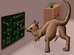  3_toes anus balls big_butt black_eyes blush board brown_fur butt classroom digitigrade dildo feral fur kangaroo looking_back male mammal marsupial math paws penis plant presenting presenting_hindquarters raised_tail school sex_toy solo toes trigaroo trigonometry 