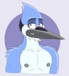  absurd_res anthro anti_dev avian beak bird blue_feathers blue_jay cartoon_network clothed clothing corvid feathers grey_nipples hi_res male mordecai_(regular_show) muscular nipples pecs regular_show smile solo teeth topless white_feathers 